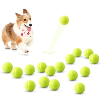 61fdf49c5dbeb5dc63d2c9e5f222448a