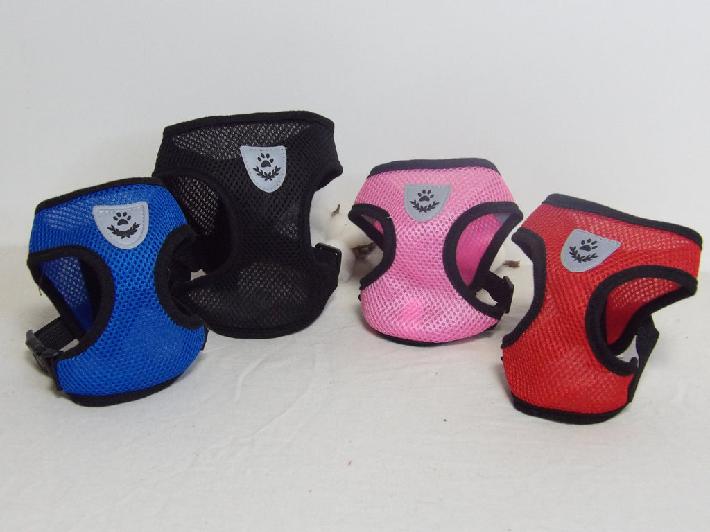 Harnais Taille S pour Chiot, Petite Race, Chaton et Petit Chat - Confortable et Sécurisé