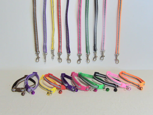 Collier pour Chien Réfléchissant