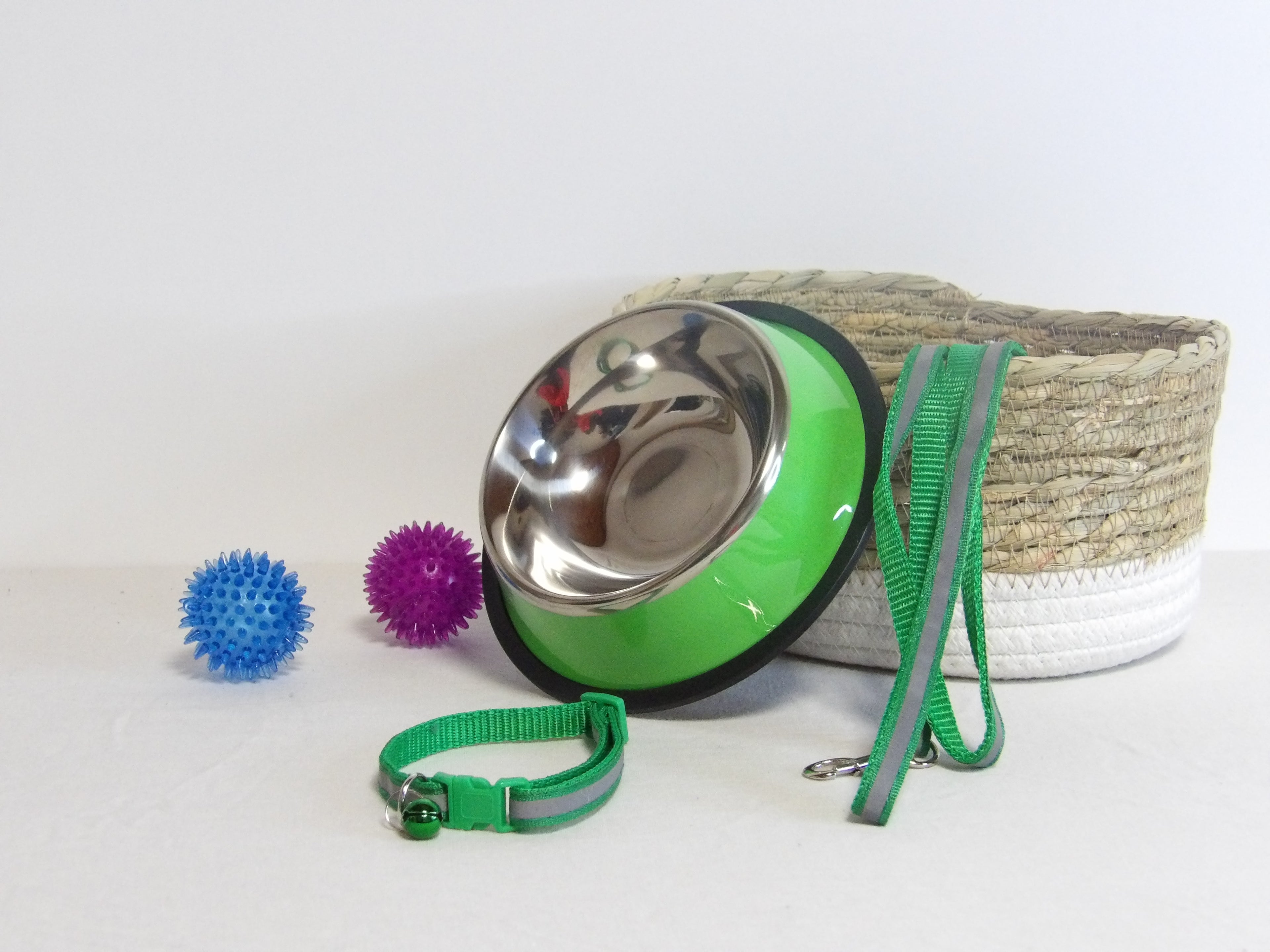 Pack Essentiel pour Chiot et Petite Race