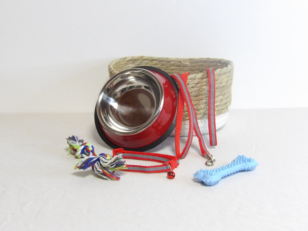 Pack Essentiel pour Chiot et Petite Race