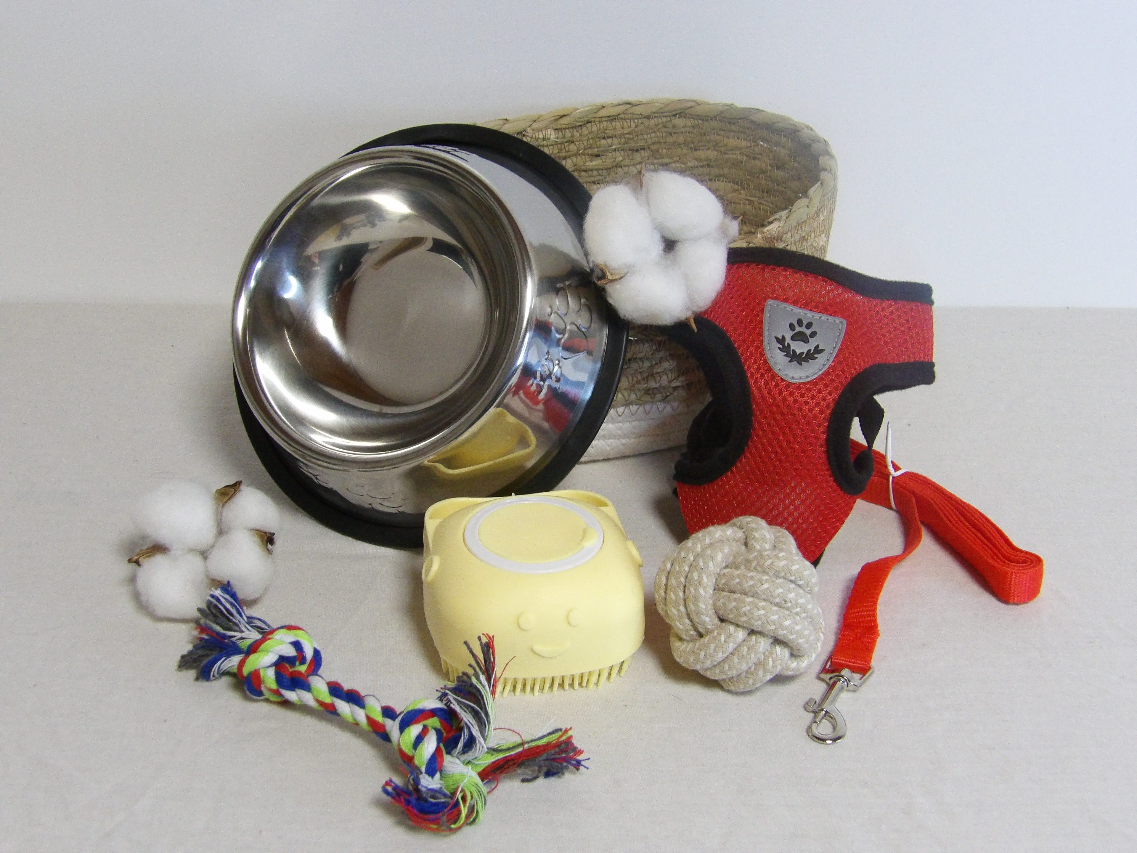 Pack Chiots et petites races